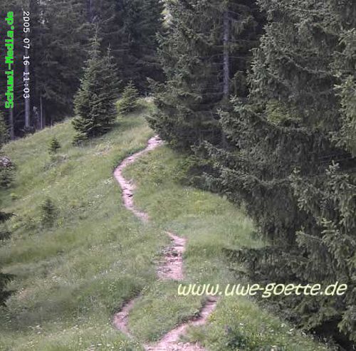 http://www.bergwandern.schuwi-media.de/galerie/cache/vs_Imberger%20Horn-Mitterhaus_ihorn_mitterhaus05.jpg