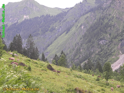 http://www.bergwandern.schuwi-media.de/galerie/cache/vs_Kaeseralpe-Oberstdorf_kaeseralpe22.jpg