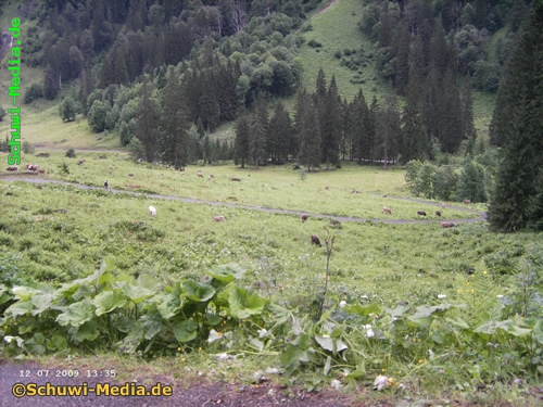 http://www.bergwandern.schuwi-media.de/galerie/cache/vs_Kaeseralpe-Oberstdorf_kaeseralpe23.jpg