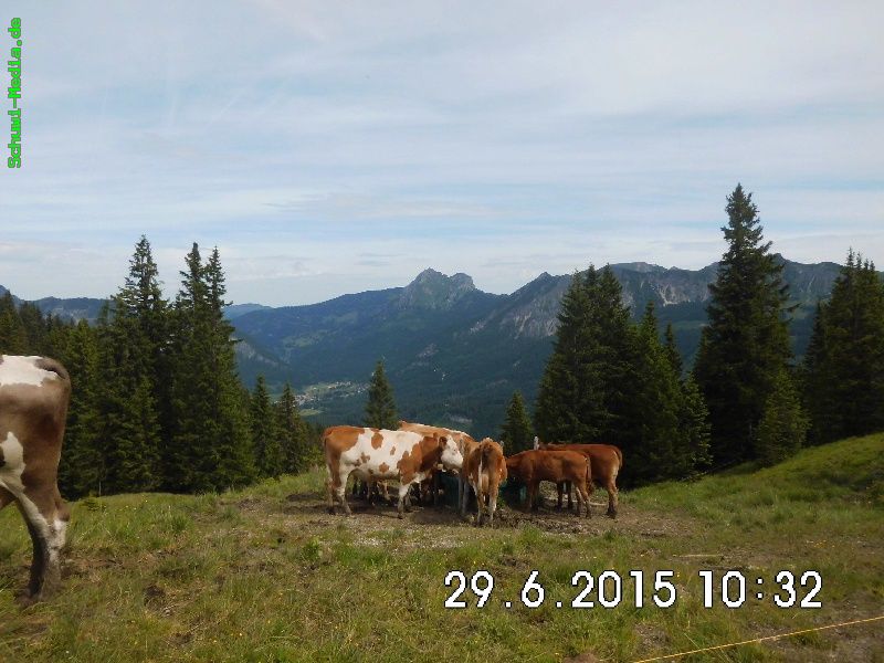 http://www.bergwandern.schuwi-media.de/galerie/cache/vs_Krinnenspitze%20Edenalpe_krinnen_17.jpg