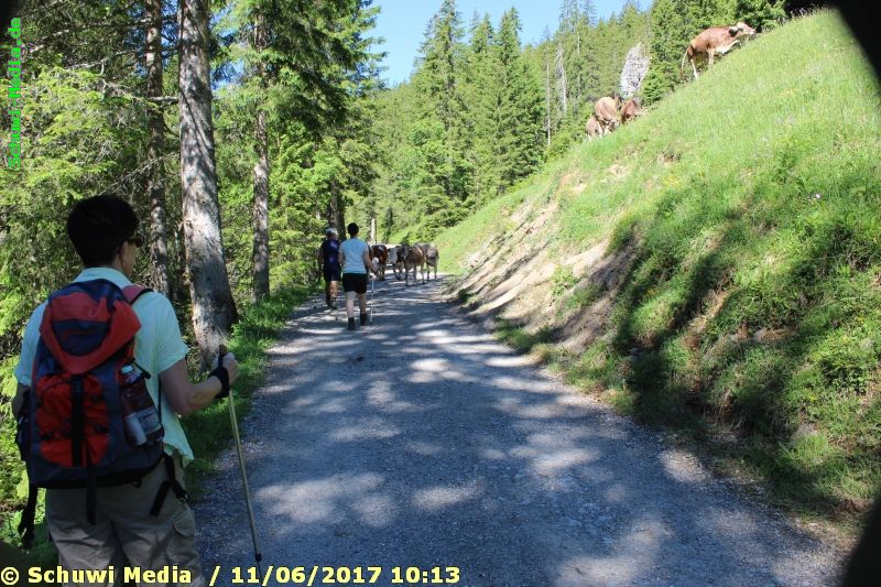 http://www.bergwandern.schuwi-media.de/galerie/cache/vs_Schwarzwasser%20Huette1_swasserhutte_04.jpg